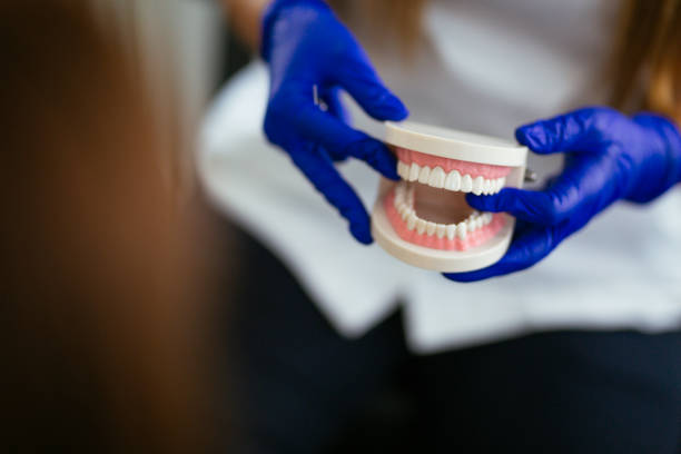 Best Traditional Braces  in Whitfield, FL