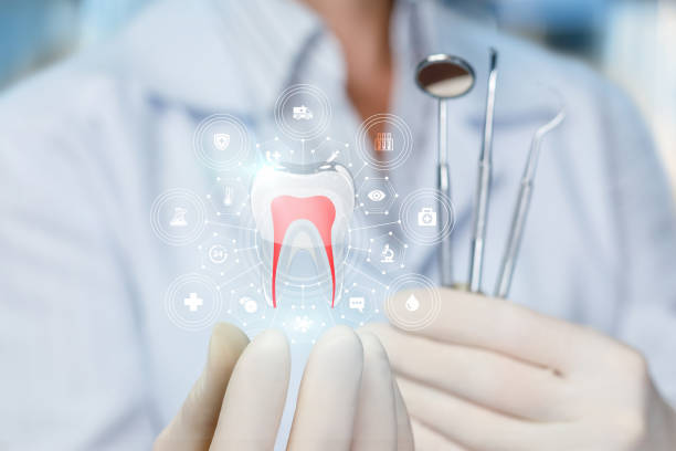Best Dental Fillings (Composite and Amalgam)  in Whitfield, FL